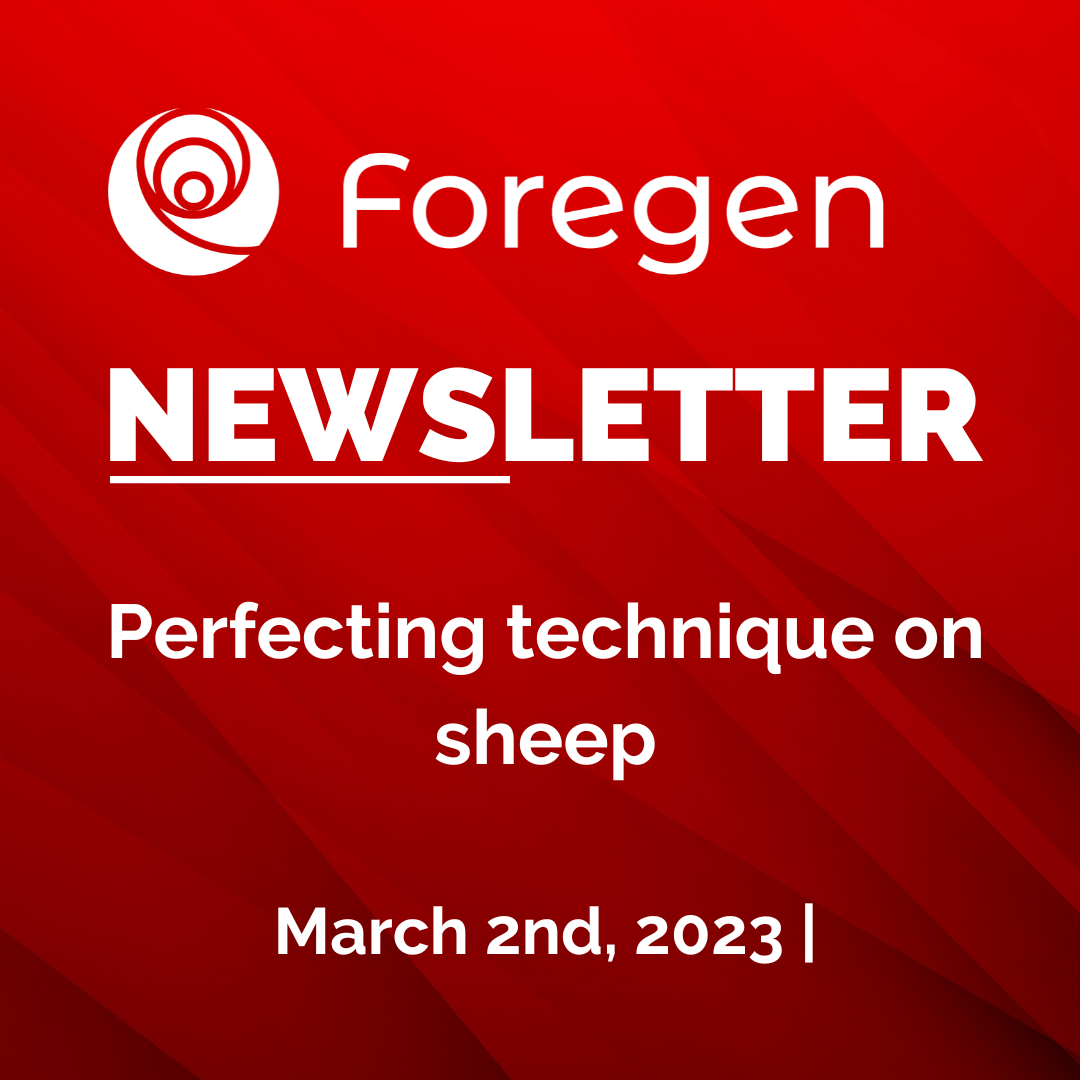 foregen-march-2nd-2023-perfecting-technique-on-sheep